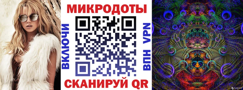 Псилоцибиновые грибы Psilocybine cubensis  Александровское 